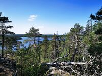 15–18 числа: по рыбе слабовато, мотор кашлял на банке, черники море — купались и отдыхали