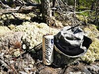 15–18 числа: по рыбе слабовато, мотор кашлял на банке, черники море — купались и отдыхали