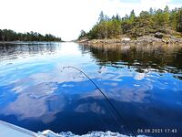 Прилив и отлив рулят: сначала тишина, потом подошла треска и зубатка, наживку съедали в ноль