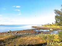 Прилив и отлив рулят: сначала тишина, потом подошла треска и зубатка, наживку съедали в ноль