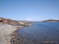 Кишкин 26.07–06.08: штормило и лило, но сказка — треска мелкая, камбала чуть; ягоды и морошка