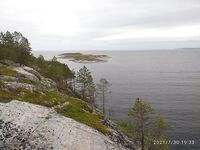 Кишкин 26.07–06.08: штормило и лило, но сказка — треска мелкая, камбала чуть; ягоды и морошка