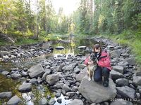 Кишкин 26.07–06.08: штормило и лило, но сказка — треска мелкая, камбала чуть; ягоды и морошка