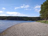 Кишкин 26.07–06.08: штормило и лило, но сказка — треска мелкая, камбала чуть; ягоды и морошка