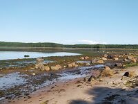 Остров Кереть — Пежостров, скалы Лодейной: первая морская рыбалка, джиг с креветкой и выводы