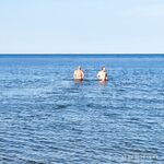 У Сидорова пикник и купание, по рыбе грустно — две белухи шли в залив, ждём селёдку