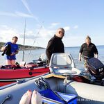 У Сидорова пикник и купание, по рыбе грустно — две белухи шли в залив, ждём селёдку