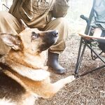 Чкаловский сейчас: фото природы, питомец в кадре и чем занят Valentin — мини-дайджест