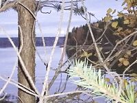 Чкаловский сейчас: фото природы, питомец в кадре и чем занят Valentin — мини-дайджест