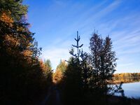 Чкаловский сейчас: фото природы, питомец в кадре и чем занят Valentin — мини-дайджест