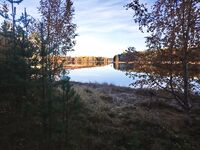 Чкаловский сейчас: фото природы, питомец в кадре и чем занят Valentin — мини-дайджест