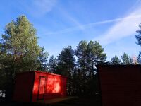 Чкаловский сейчас: фото природы, питомец в кадре и чем занят Valentin — мини-дайджест