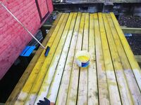 Чкаловский сейчас: фото природы, питомец в кадре и чем занят Valentin — мини-дайджест