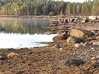 12 сентября, Нижняя Пулонга у Игоря: 10 м клевало постоянно, крупная редко