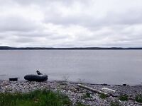 Пежостров: рыба мелкая, креветка и кальмар решают; приключения с вёслами и винтом