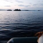 По дороге в Умбу и севернее воруют — но у меня сторож, держим ухо востро