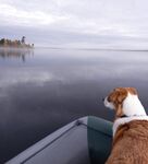 По дороге в Умбу и севернее воруют — но у меня сторож, держим ухо востро