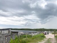 Нижняя Пулонга 15–25 июля: жильё у Игоря, тёплая вода и рабочий джиг