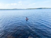 Глубины до 70 на выходе, но крупная шла с 35 — жара, вода +19 летом