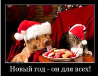 С наступающим Новым годом: встречи на берегу и добрые уловы в Чупе