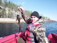 Нужна конкретика по участку ловли, Белое море — Чупа или ближе к Пулонге?