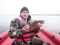 Ехать ли сейчас: смотрим прогноз, окно по приливу и волну у Чупы