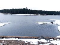 От метели до +8 за сутки: перемычку у Пулонги скоро разобьёт, зверьё ожило