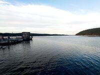 Чупинская губа открылась — моторы загудели, готовим снасти