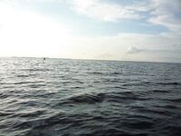 Захарыча заберём по дороге — готовься к Чупе и к трудностям