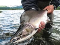 Про снасть «такая нужна» — где взять и что именно искать?