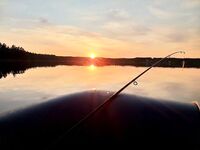 Треска 3 220 на коротком выходе после ветра — морская рыбалка на Белом море