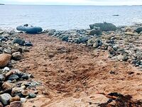 Мыс Красный, изба 6×4 и местная традиция: первый сиг в сковороде, потом валуны на отливе