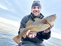 Чупа, Пежостров и «губа летняя»: штормовые первые дни, потом раздача трески до 2+ кг