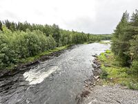 Чупа, Пежостров и «губа летняя»: штормовые первые дни, потом раздача трески до 2+ кг