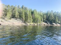 Нижняя Пулонга, 6–11 августа: домики у Игоря, банька к морю, клев по точкам, чайки дежурят