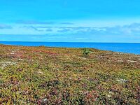 Чупа, Пежостров — штиль к вечеру, пена, восток разогнал до трёх метров, ведро трески и бафф