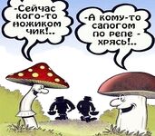 Белое море, Чупа — перепост из «весёлых фоток» для настроения, простите правообладателя