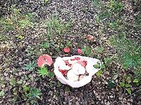 Карелия — короткий чек: лёд где стал, где чисто, и какой подъезд к причалам зимой