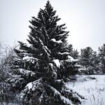 Родная деревня у Белого моря, не совсем про рыбалку, но сердце на месте и руки чешутся