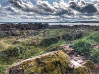 Карелия, Чупа и Чкаловские острова: вечерний мороз, пустые руки и тоска по лесу после фоток