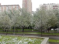 Москва отозвалась: тут тоже зима)))