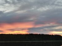 Дорога и реверсы, Чкаловский встретил зубаткой с икрой