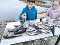 Вечерняя рыбалка удалась, выход с 19:30 до 21:00