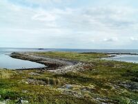 Фото 2021 по «кораблю-мишени» за Сидоровыми, в заповедник не суёмся