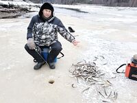 Рыбалка на Белом море: навага отметилась, идёт ровно