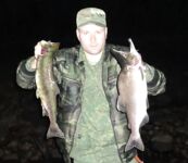 Горбуша в Белом море, пусть клюёт тем, кому в радость
