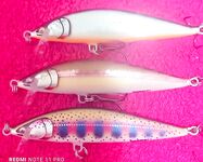 По пресняку вокруг Пулонги: щука, окунь, плотва, налим; кумжа редкая на тролль