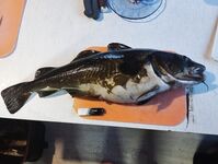 Самая большая на сегодня — зафиксировал, дальше поищем окно на обновление