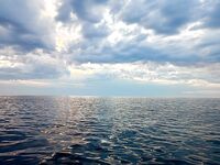 Ночь на Пежострове: поклёвки у лодки на подъёме, в потрошке минога и колюшка, палаток тьма