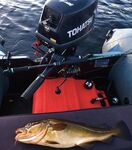 Пежостров, Соколка, Двинские луды: основная рыба в 100 м от избы, джиг салатовый